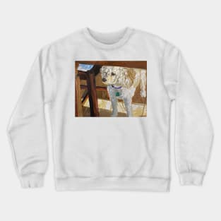 Beanie Under the Table Crewneck Sweatshirt